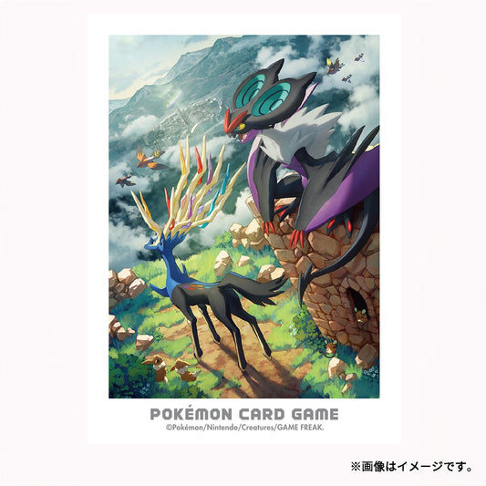 Pokémon Center Japan Exclusive Kalos Adventures Card Sleeves