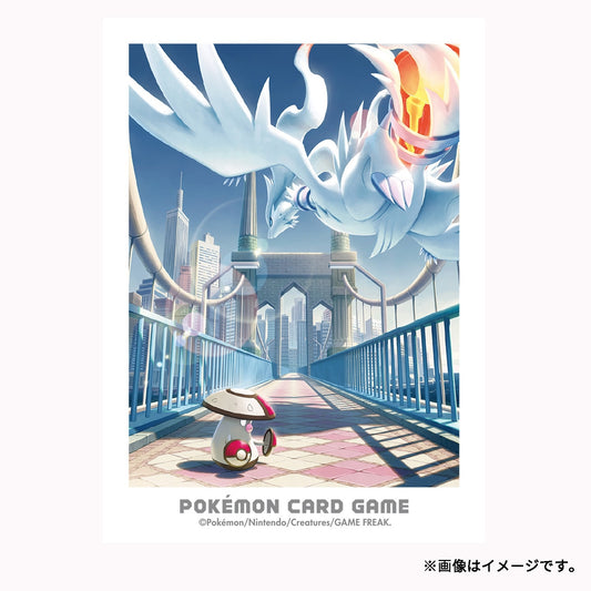 Pokémon Center Japan Exclusive Reshiram & Amoonguss Card Sleeves
